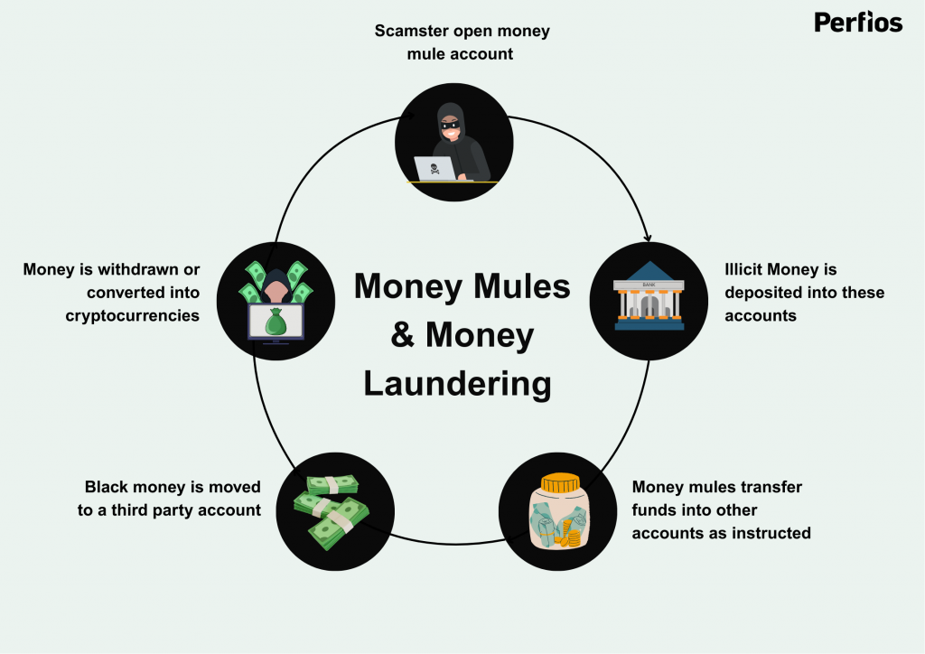 Money mules and money laundering